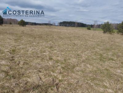 Działka w Borach Tucholskich - Karsin   -
pomorskie Zdjęcie nr 8