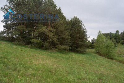 Działki letniskowe nad jeziorem - Skorzewo   -
pomorskie Zdjęcie nr 10