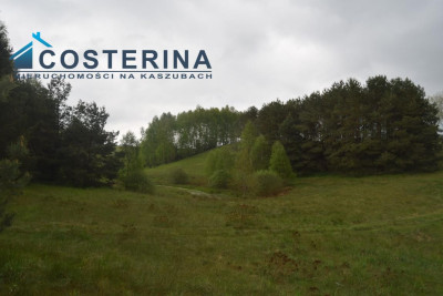 Działki letniskowe nad jeziorem - Skorzewo   -
pomorskie Zdjęcie nr 11