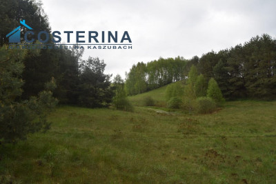 Działki letniskowe nad jeziorem - Skorzewo   -
pomorskie Zdjęcie nr 12