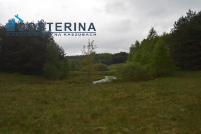 Działki letniskowe nad jeziorem - Skorzewo   -
pomorskie Zdjęcie nr 13