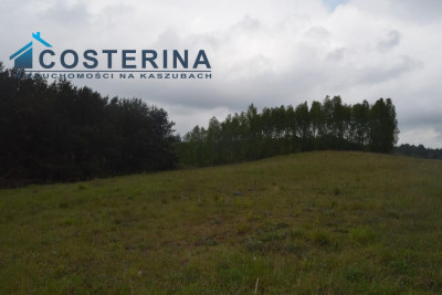 Działki letniskowe nad jeziorem - Skorzewo   -
pomorskie Zdjęcie nr 14