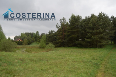 Działki letniskowe nad jeziorem - Skorzewo   - pomorskie