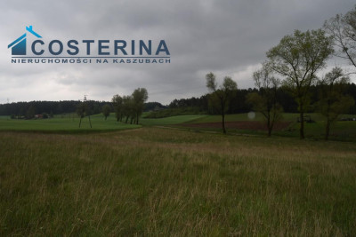 Działki letniskowe nad jeziorem - Skorzewo   -
pomorskie Zdjęcie nr 2