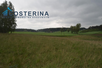 Działki letniskowe nad jeziorem - Skorzewo   -
pomorskie Zdjęcie nr 3
