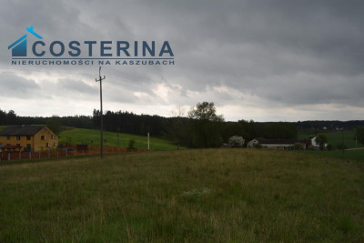 Działki letniskowe nad jeziorem - Skorzewo   -
pomorskie Zdjęcie nr 5