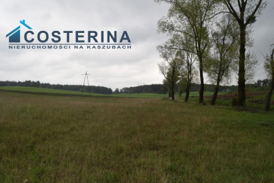 Działki letniskowe nad jeziorem - Skorzewo   -
pomorskie Zdjęcie nr 6