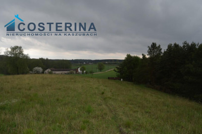 Działki letniskowe nad jeziorem - Skorzewo   -
pomorskie Zdjęcie nr 7