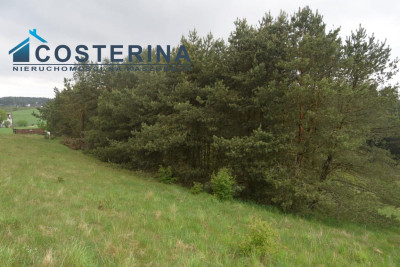 Działki letniskowe nad jeziorem - Skorzewo   -
pomorskie Zdjęcie nr 8
