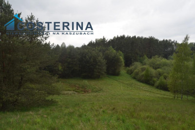 Działki letniskowe nad jeziorem - Skorzewo   -
pomorskie Zdjęcie nr 9