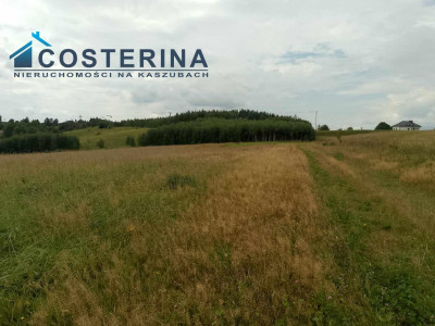 Działka budowlana - Sikorzyno   -
pomorskie Zdjęcie nr 3