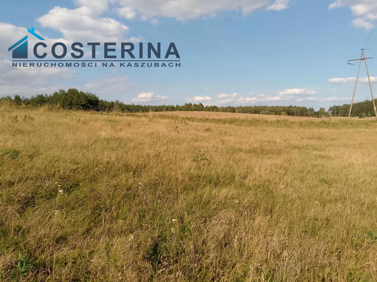Działka budowlana - Skorzewo   -
pomorskie Zdjęcie nr 1