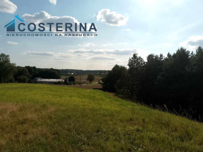 Działka budowlana - Skorzewo   -
pomorskie Zdjęcie nr 10