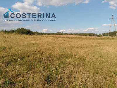 Działka budowlana - Skorzewo   - pomorskie