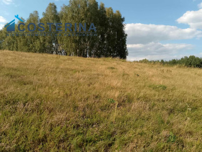 Działka budowlana - Skorzewo   -
pomorskie Zdjęcie nr 3