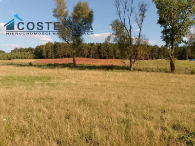 Działka budowlana - Skorzewo   -
pomorskie Zdjęcie nr 5