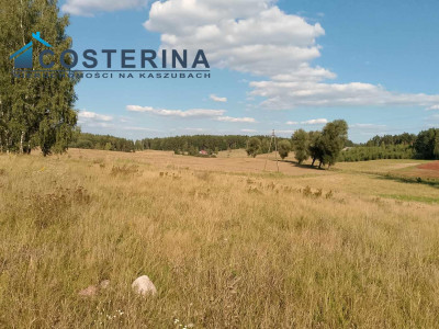 Działka budowlana - Skorzewo   -
pomorskie Zdjęcie nr 8