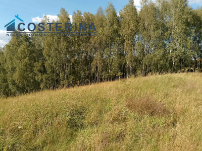 Działka budowlana - Skorzewo   -
pomorskie Zdjęcie nr 9
