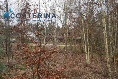 Działka rekreacyjna - Piechowice   -
pomorskie Zdjęcie nr 4