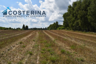 Działki budowlane w Nowym Bukowcu - Nowy Bukowiec   -
pomorskie Zdjęcie nr 5