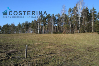 Działki budowlane na Kaszubach Kalisz gmina Dziemiany - Kalisz   -
pomorskie Zdjęcie nr 3