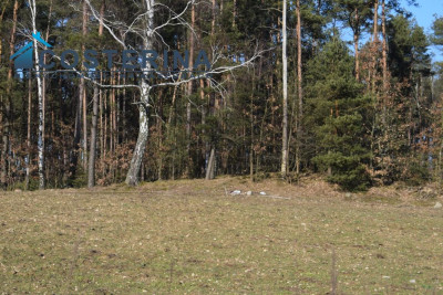 Działki budowlane na Kaszubach Kalisz gmina Dziemiany - Kalisz   -
pomorskie Zdjęcie nr 4