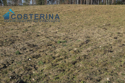 Działki budowlane na Kaszubach Kalisz gmina Dziemiany - Kalisz   -
pomorskie Zdjęcie nr 5