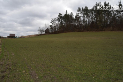 Działka nad Jeziorem Polaszkowskim inwestycja w naturę i spokój - Równe   -
pomorskie Zdjęcie nr 11