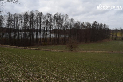 Działka nad Jeziorem Polaszkowskim inwestycja w naturę i spokój - Równe   -
pomorskie Zdjęcie nr 13