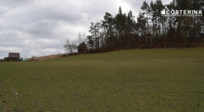 Działka nad Jeziorem Polaszkowskim inwestycja w naturę i spokój - Równe   -
pomorskie Zdjęcie nr 3