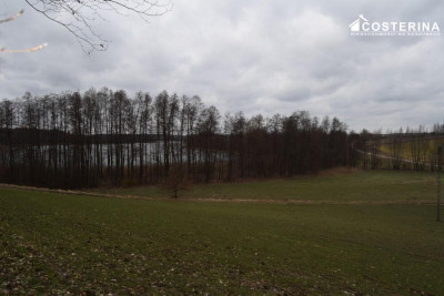 Działka nad Jeziorem Polaszkowskim inwestycja w naturę i spokój - Równe   -
pomorskie Zdjęcie nr 4