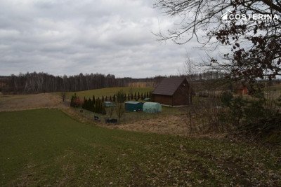 Działka nad Jeziorem Polaszkowskim inwestycja w naturę i spokój - Równe   -
pomorskie Zdjęcie nr 5