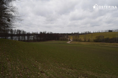 Działka nad Jeziorem Polaszkowskim inwestycja w naturę i spokój - Równe   -
pomorskie Zdjęcie nr 6