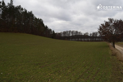 Działka nad Jeziorem Polaszkowskim inwestycja w naturę i spokój - Równe   -
pomorskie Zdjęcie nr 8