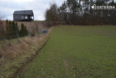 Działka nad Jeziorem Polaszkowskim inwestycja w naturę i spokój - Równe   -
pomorskie Zdjęcie nr 9