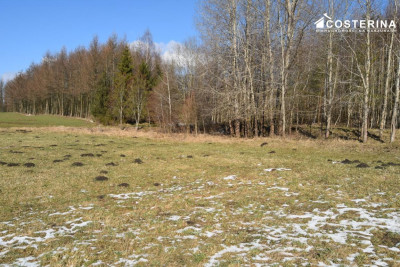 Działki budowlane w Bukowinie gmina Cewice - Łebunia   -
pomorskie Zdjęcie nr 10