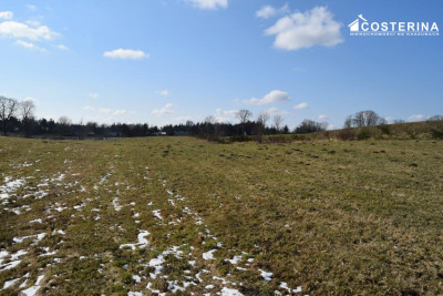 Działki budowlane w Bukowinie gmina Cewice - Łebunia   -
pomorskie Zdjęcie nr 11