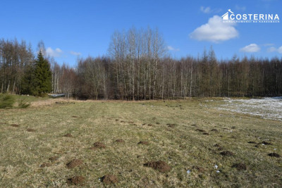 Działki budowlane w Bukowinie gmina Cewice - Łebunia   -
pomorskie Zdjęcie nr 12
