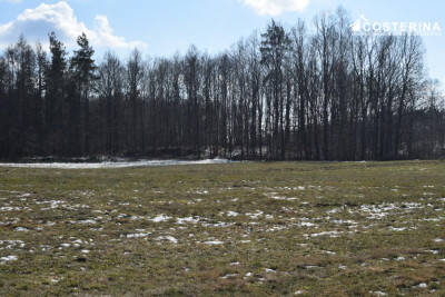 Działki budowlane w Bukowinie gmina Cewice - Łebunia   -
pomorskie Zdjęcie nr 13