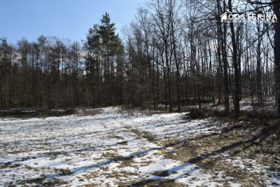 Działki budowlane w Bukowinie gmina Cewice - Łebunia   -
pomorskie Zdjęcie nr 6