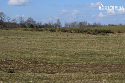 Działki budowlane w Bukowinie gmina Cewice - Łebunia   -
pomorskie Zdjęcie nr 7