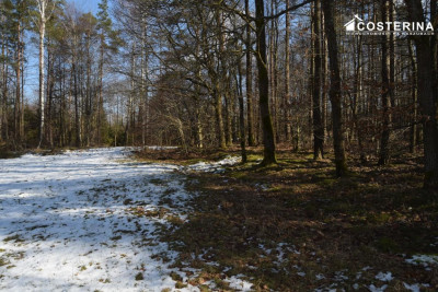 Działki budowlane w Bukowinie gmina Cewice - Łebunia   -
pomorskie Zdjęcie nr 8