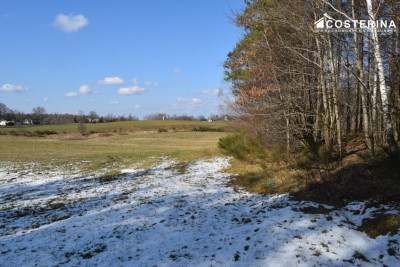 Działki budowlane w Bukowinie gmina Cewice - Łebunia   -
pomorskie Zdjęcie nr 9