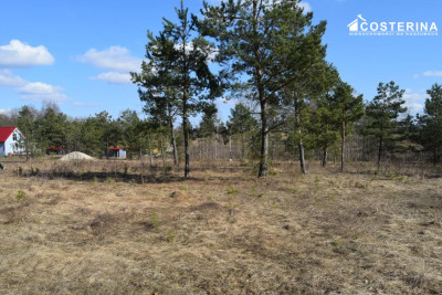 Działki letniskowe w Parchowskim Młynie 200 metrów od Jeziora Mausz - Parchowo   -
pomorskie Zdjęcie nr 10