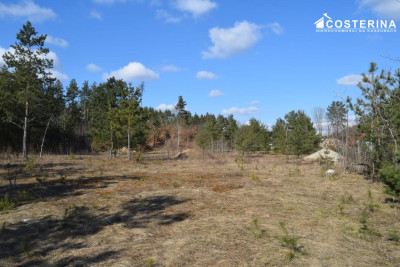 Działki letniskowe w Parchowskim Młynie 200 metrów od Jeziora Mausz - Parchowo   -
pomorskie Zdjęcie nr 11