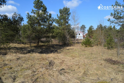 Działki letniskowe w Parchowskim Młynie 200 metrów od Jeziora Mausz - Parchowo   -
pomorskie Zdjęcie nr 12