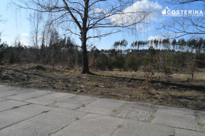 Działki letniskowe w Parchowskim Młynie 200 metrów od Jeziora Mausz - Parchowo   -
pomorskie Zdjęcie nr 13