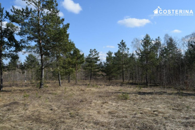 Działki letniskowe w Parchowskim Młynie 200 metrów od Jeziora Mausz - Parchowo   -
pomorskie Zdjęcie nr 3