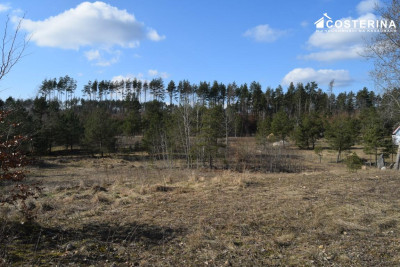 Działki letniskowe w Parchowskim Młynie 200 metrów od Jeziora Mausz - Parchowo   -
pomorskie Zdjęcie nr 5
