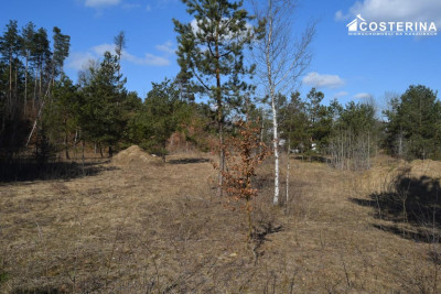 Działki letniskowe w Parchowskim Młynie 200 metrów od Jeziora Mausz - Parchowo   -
pomorskie Zdjęcie nr 6